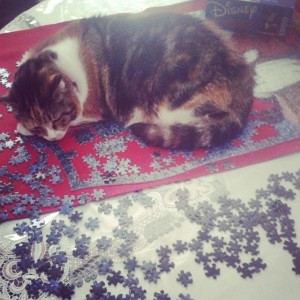 cat lying on puzzle